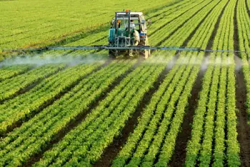 Exported Premium ammonium sulfate