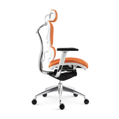 Foshan Wholesale Luxury Ergonomic Office Chair