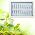 US Plug 1800W COB LED wachsen leicht