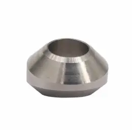 SS316L stailness steel weldolet fittings