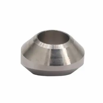SS316L stailness steel weldolet fittings