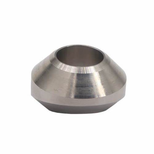SS304 Steel Weldolet Fittings