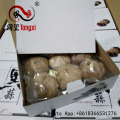 Healthy Food Single Black Garlic For Sale