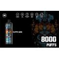 KK Energy wiederaufladbar Einweg 8000 Puffs Pod Kit