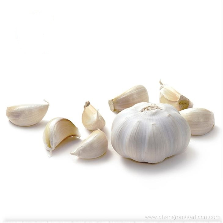 Pure White Garlic Cloves Chinese Garlic