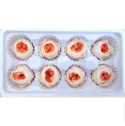 Kunming High Quality Peony Preserved Austin Rose for Home Decor