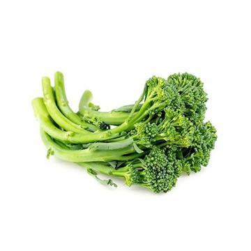Fresh Broccolini for Gourmet Food Service