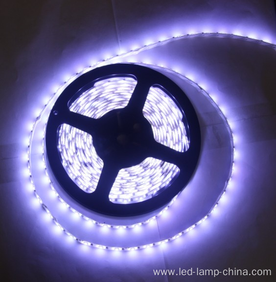 12v 16w 2400k Warm White 3m Tape SMD5630 LED Strip Light