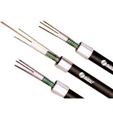 Central Tube Optical Fiber Cable (GYXTW)