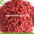 Factory Supply Nutrition Dried Lycium Berries