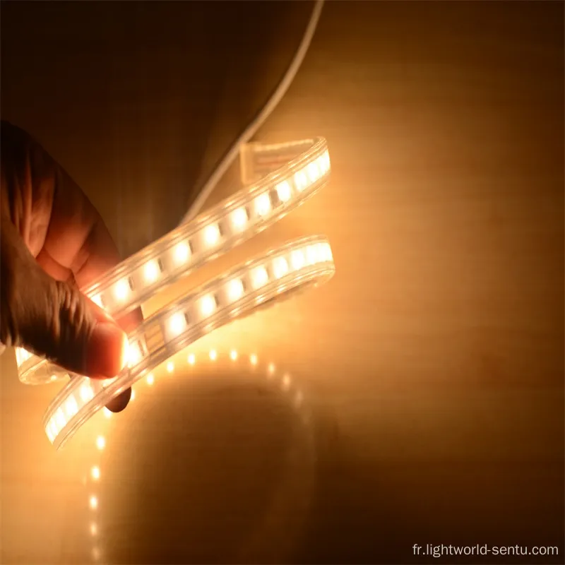 LEDSTRIP de haute qualité avec des lignes doubles