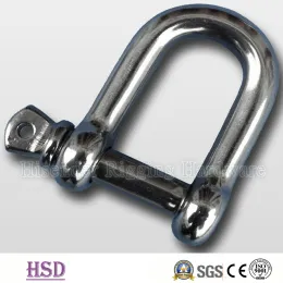 Stainless Steel 316 D Type Shackle for Marine Hardware