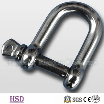 Stainless Steel 316 D Type Shackle for Marine Hardware