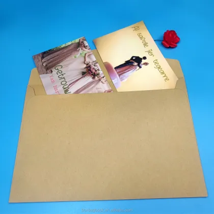 High-Quality Kraft Paper Envelopes: A Comprehensive Guide and Product Overview