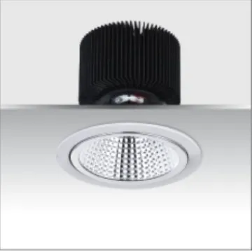 LED Hotel Down Light Y110