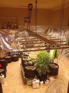 Newest Samsung Full Spectrum Led Bar Grow Light