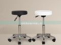 Salão de Cabeleireiro Classic Styling Chair Master Stool