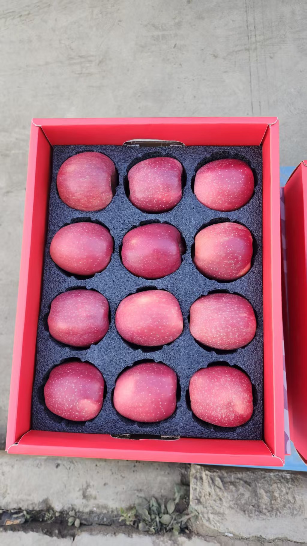 Zhaotong Apples from Ludian County