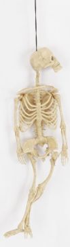 HIGH QUALITY PLASTIC FULL BODY HALLOWEEN SKELETON
