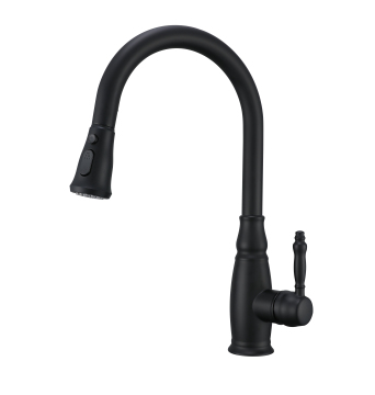Modern Kitchen Faucet - Brass Pull Out Sprayer Stainless Steel 304 Kitchen Tap
