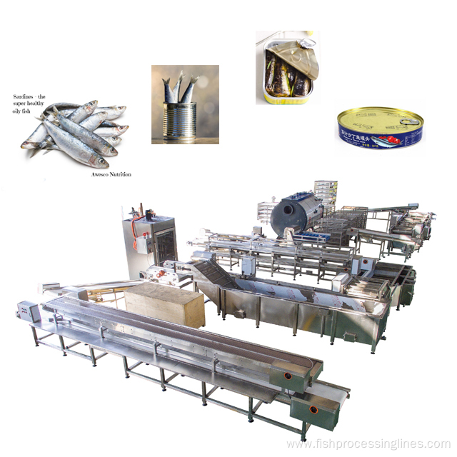 sardine canning process tools and equipment