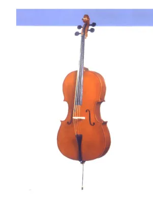 LAMINATED CELLO