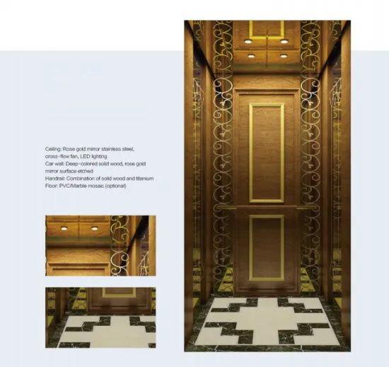 Sightseeing Passenger Elevator with Glass Cabin