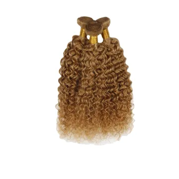 Ombre 27 Kinky Curly Hair 3 Bundles Brazilian Human Hair 1/3/4 Pcs 1B Brwon Red Burg Remy Curly Hair Weaving Bundles