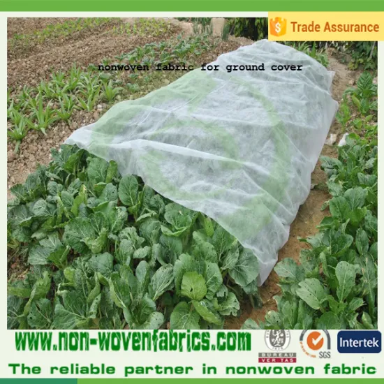 Non Woven Fabric for agricuture plant cover,1-5% anti-UV