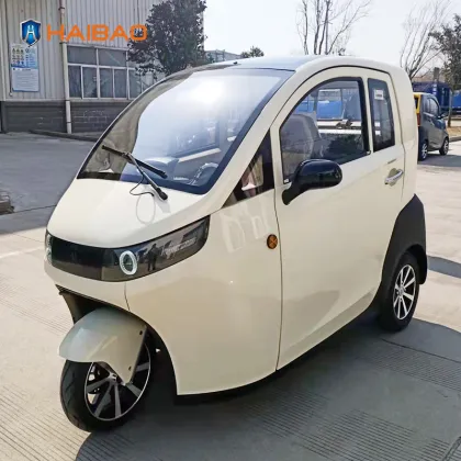 HAIBAO Brand 3 Wheeler Electric Car for Adults and Seniors