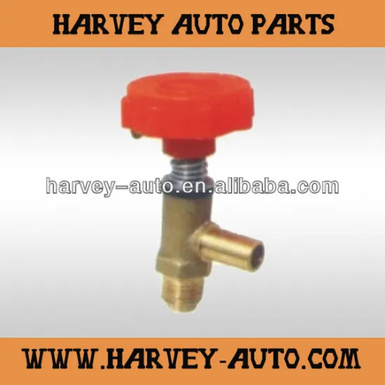 934 300 001 0 Brass Drain Valve