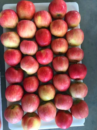 CHN Fresh Huaguan Apple