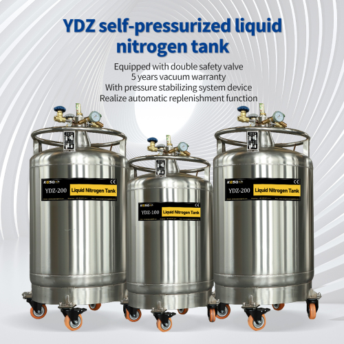 Brazilian self-pressurizing liquid nitrogen tank YDZ-100