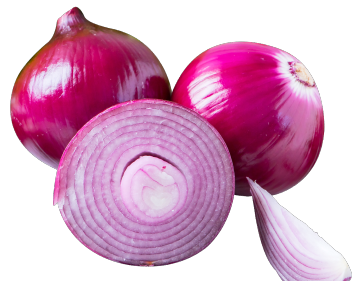 Premium Yuanmou Onion Wholesale