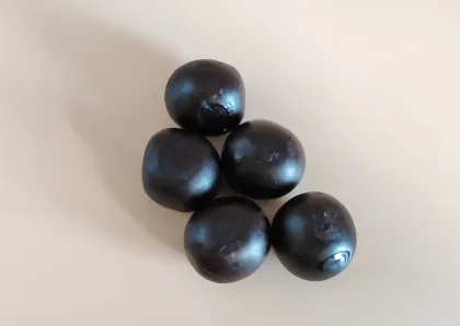 Yangyin Zhenjing Pills Big honeyed Pills