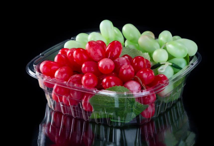 Obstkonservenbehälter Benutzerdefinierte Kunststoffschale