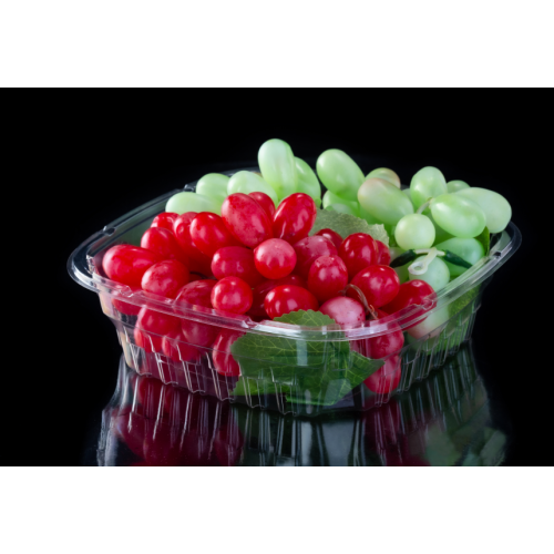 Fruit Food Preservation Container Custom Plastic Tray