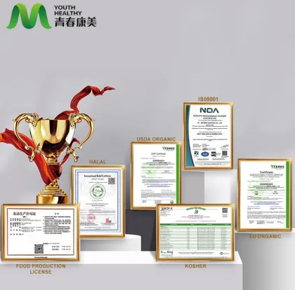 Natural Persimmon Leaf Extract for Blood Lipid Reduction