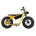 OEM Electric Bicycle Mountain EBike Supo73: Key Features and Benefits