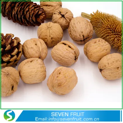 In Shell And Shelled Chandler Walnuts