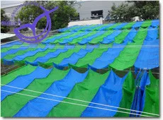 Shade Net