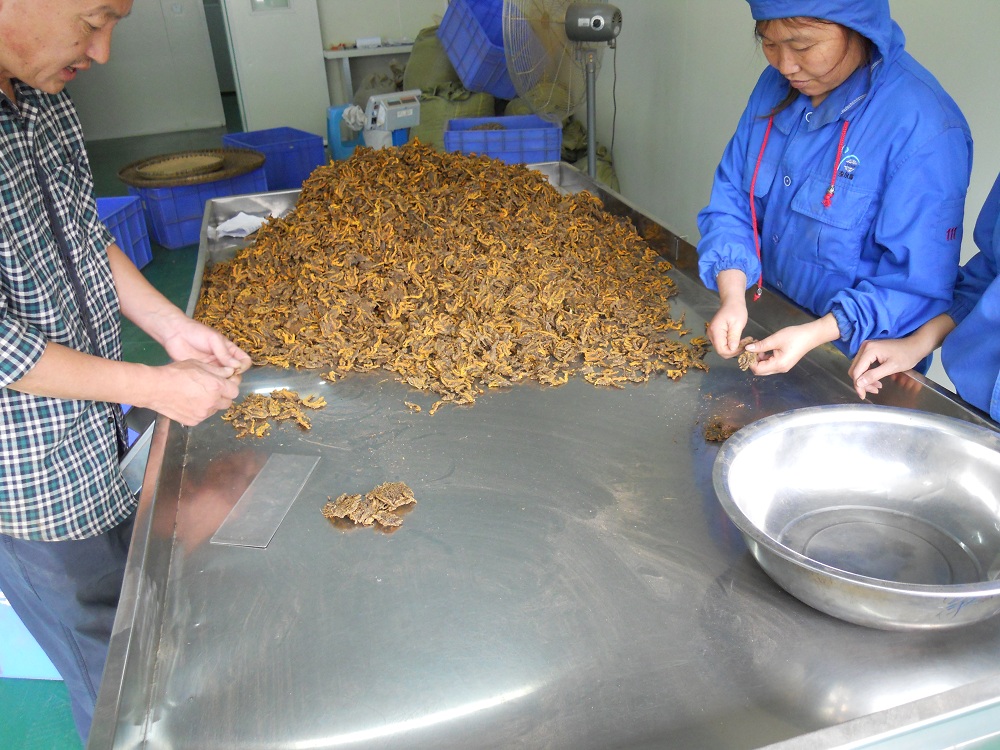 Batu batu berkualiti tinggi Huanglian