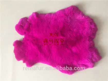 hot selling rex rabbit