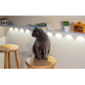 Dimmable Landscape Ripple Sensing 5 Cat Eye Lamp