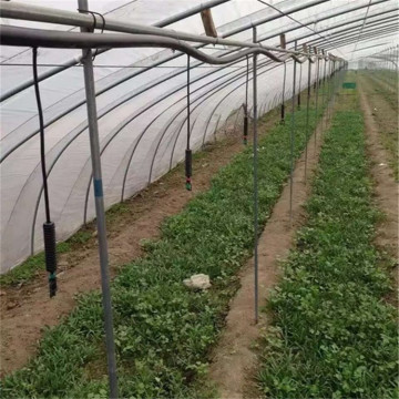 PE Pipe Agricultural Water-saving Irrigation Pipe