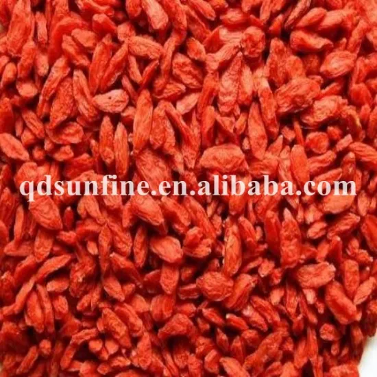 2017 hot sell red medlar