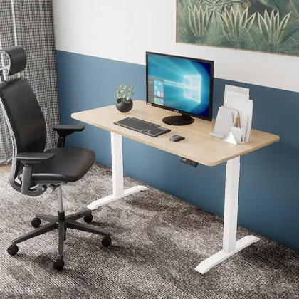 Hotsale Standing Desk Electric Office Desk Adjustable Lifting Table