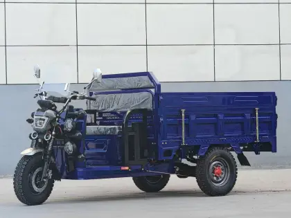 High-Efficiency Five-Light Delivery Electric Tricycle