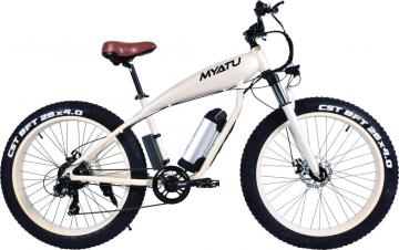Fat Tires Electric Sports Bike