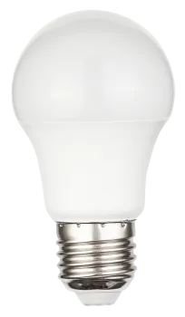 Two Year Warranty A55 LED Bulb